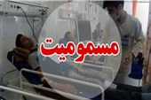 ثبت 1775 بیمار مسموم در جهرم/ عقرب و الکل در صدر آمار