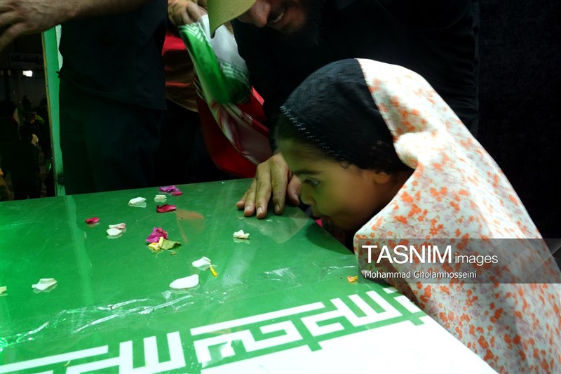 اخبار استان بوشهر , نظام مسائل استان بوشهر , اخبار بوشهر ,
