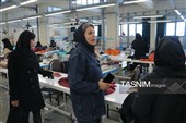 بازدید خبرنگاران از خط تولید سرجین‌بافت
