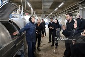 بازدید خبرنگاران از خط تولید سرجین‌بافت