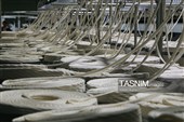 از نخ تا پوشاک ، روایت تلاش در چرخه تولید ایرانی