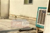 مقابله با پهپاد ناشناس در اطراف منطقه الخضراء بغداد