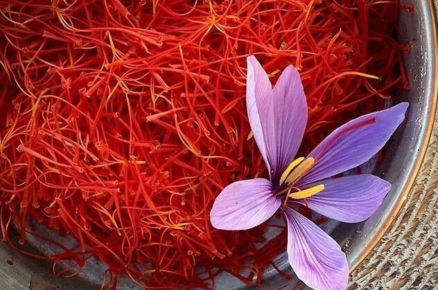 کشاورزی , اخبار شیراز , اخبار استان فارس ,