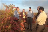 توسعه گردشگری با بهره‌گیری از ظرفیت‌های مرزی افغانستان و پاکستان