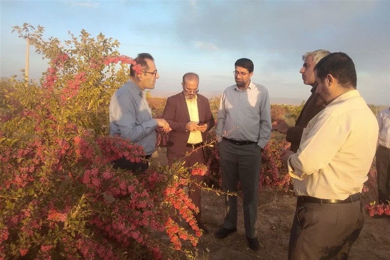 اخبار استان خراسان جنوبی , خبرگزاری تسنیم , گردشگری , نظام مسائل استان خراسان جنوبی , ستاد توسعه اقتصاد دانشبنیان غذا و کشاورزی , کشاورزی ,