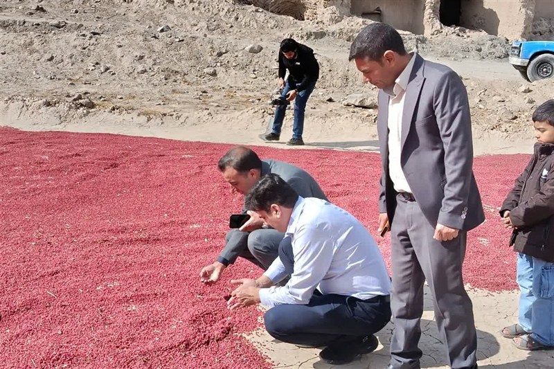 اخبار استان خراسان جنوبی , خبرگزاری تسنیم , گردشگری , نظام مسائل استان خراسان جنوبی ,