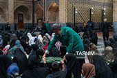 تشرف خانواده شهدا و جانبازان لامرد فارس به حرم مطهر رضوی