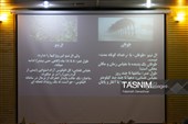 نشست خبری مدیرکل هواشناسی هرمزگان