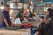 «برای خورشید» در راه سینماحقیقت؛ روایت عزیزانی که را در بمباران رفتند