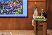 کودکان میناب تروریست بودند که به نام مبارزه با تروریسم کشته شدند؟