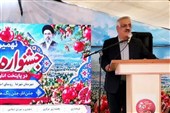 آبیاری نوین؛ محور حمایت از باغداران انار شهرضا