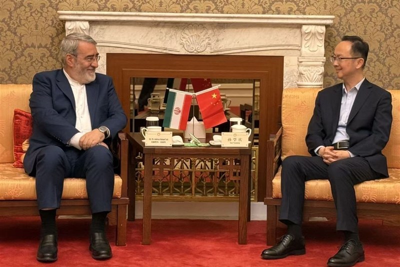 رحمانی فضلی: روابط ایران و چین فراتر از مناسبات متعارف است