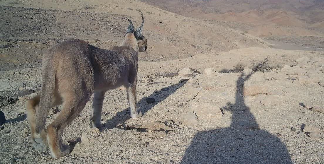 اخبار ورامین , اخبار استان تهران , محیطبان ,