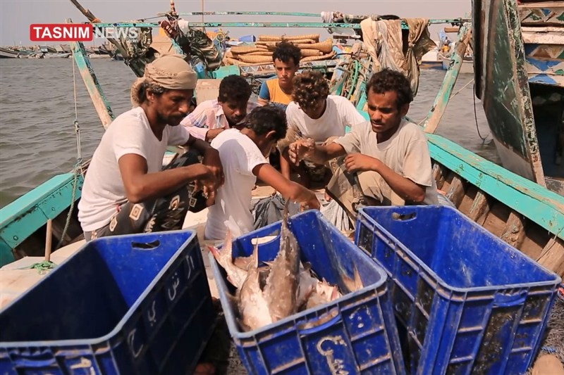 تحریر الساحل الغربی من العدوان یعید للصیادین الیمنین